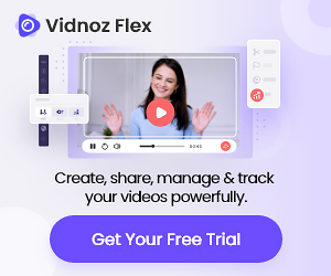 Vidnoz Flex: Maximize the Power of Videos